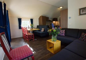 Holiday Lodge in Staphorst with Pool Access