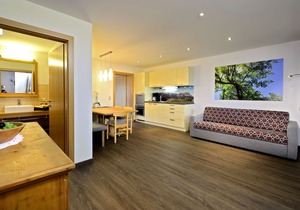 Holiday Nest Leitner Apartments in the Hochkönig Region