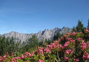 Holiday Nest Leitner Apartments in the Hochkönig Region