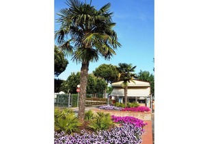 Holiday park Marina Camping Village - Marina AGCLU (2844)
