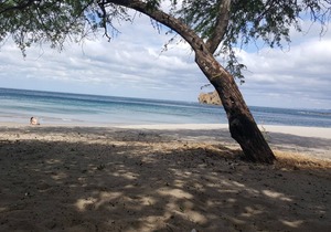 Home away from home! Cozy, clean, and safe hotel minutes from beautiful beach!!