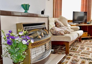 Homely 2 Bed with Arthur Seat Views