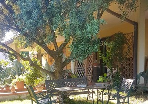 Homerez - Appartement 3 km away from the beach for 6 ppl. at San Mauro Pascoli