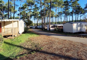 Homerez - Bungalow 4 km away from the beach for 8 ppl. with shared pool