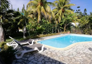 Homerez last minute deal - Amazing villa with swimming-pool