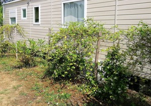 Homerez - Nice bungalow 4 km away from the beach for 8 ppl. with shared pool