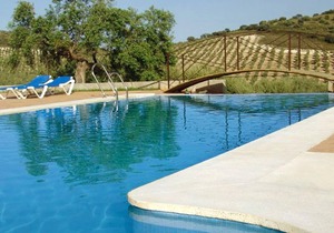 Homerez - Nice house for 4 ppl. with shared pool and terrace at Estepa