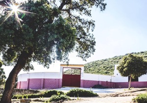 Homerez - Nice house for 6 ppl. with shared pool and terrace at Estepa