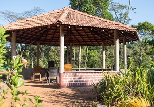 HomeStay away from the hustle bustle of the city in midst of nature at its best.