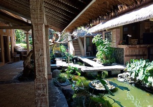 Homestay with Living in Harmony Concept, Eastern End Bali, Feel the Nature