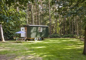 Honeysuckle Hut-QU7066