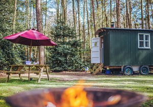 Honeysuckle Hut-QU7066
