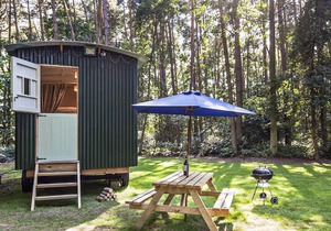 Honeysuckle Hut-QU7066