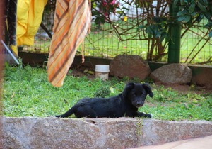 Hostel nossa casa campeche
