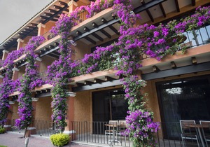 Hosteria Las Quintas Hotel