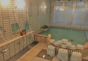 Hotel Alphastar Iwappara - Vacation Stay31698