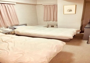 Hotel Alphastar Iwappara - Vacation Stay31696