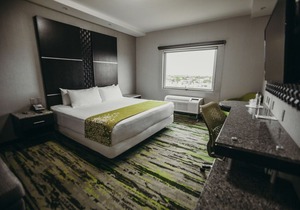 Hotel Araiza San Luis