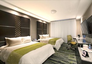 Hotel Araiza San Luis