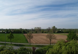 Hotel Bauschheimer Hof