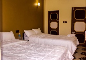 Hotel Flycatcher