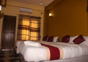 Hotel Flycatcher