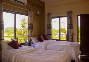 Hotel Flycatcher
