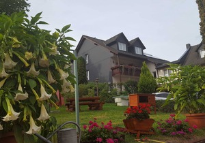 Hotel-Gasthaus Steiger - double room