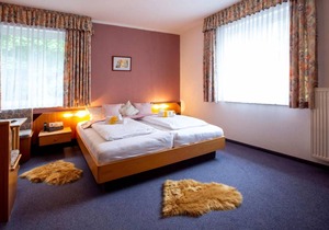 Hotel ∙ Hotel Drei Brüder Höhe Marienberg Double room, shower/wc, AI light