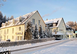 Hotel ∙ Hotel Drei Brüder Höhe Marienberg Double room, shower/wc, AI light