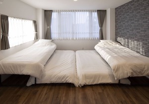 HOTEL LITTLE BIRD OKU-ASAKUSA 501