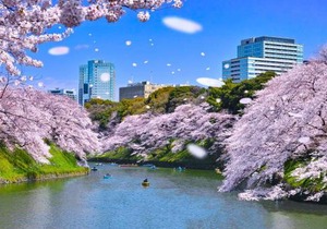 Hotel Owl Tokyo Shinbashi