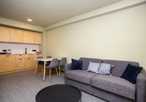 Hotel Quality One Bedroom Apartment In Bakuriani