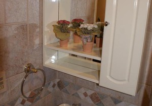 Hotel Quitandinha - Encantos da Serra 271