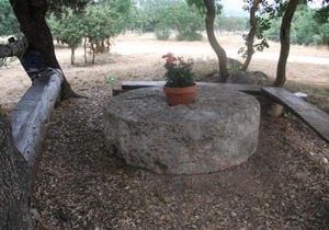 Hotel Rural Dehesa del Rincón