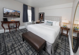 Hotel Viking