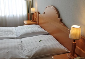 Hotel Weidenhof