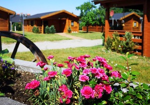 House 8 - Sveda yard