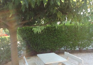 HOUSE IN DRACENIE - SECURE LOCATION