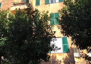House Nervi by Holiday World
