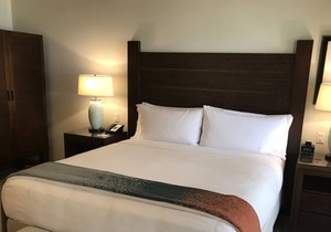 Hyatt Kaanapali Beach Residence Club Oceanfront Timeshare STUNNING PROPERTY!