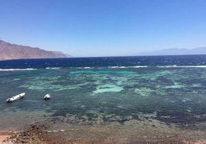 Iaru nub - ايارو نوب