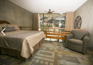 IB Suite+BR