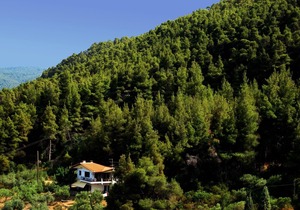 Idyllic located holiday apartment at the sea, Wifi, Vourvourou, Chalkidiki-Sitho