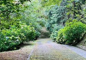 Il Bosco di Campo Marzano Garden Apartments