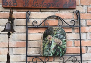 Il Castagneto
