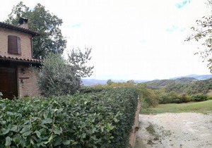 Il Castagneto
