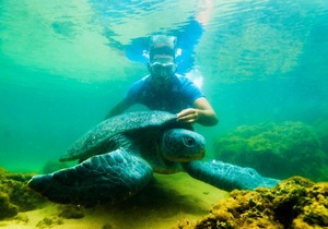 Ilha do Major