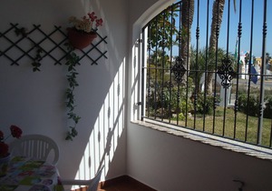 Impressive nudist in ground floor with terrace of 2 rooms and pool