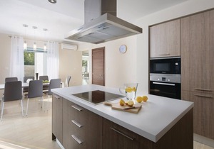In a quiet environment, in small village Vlasici, is placed this chic vacation home.